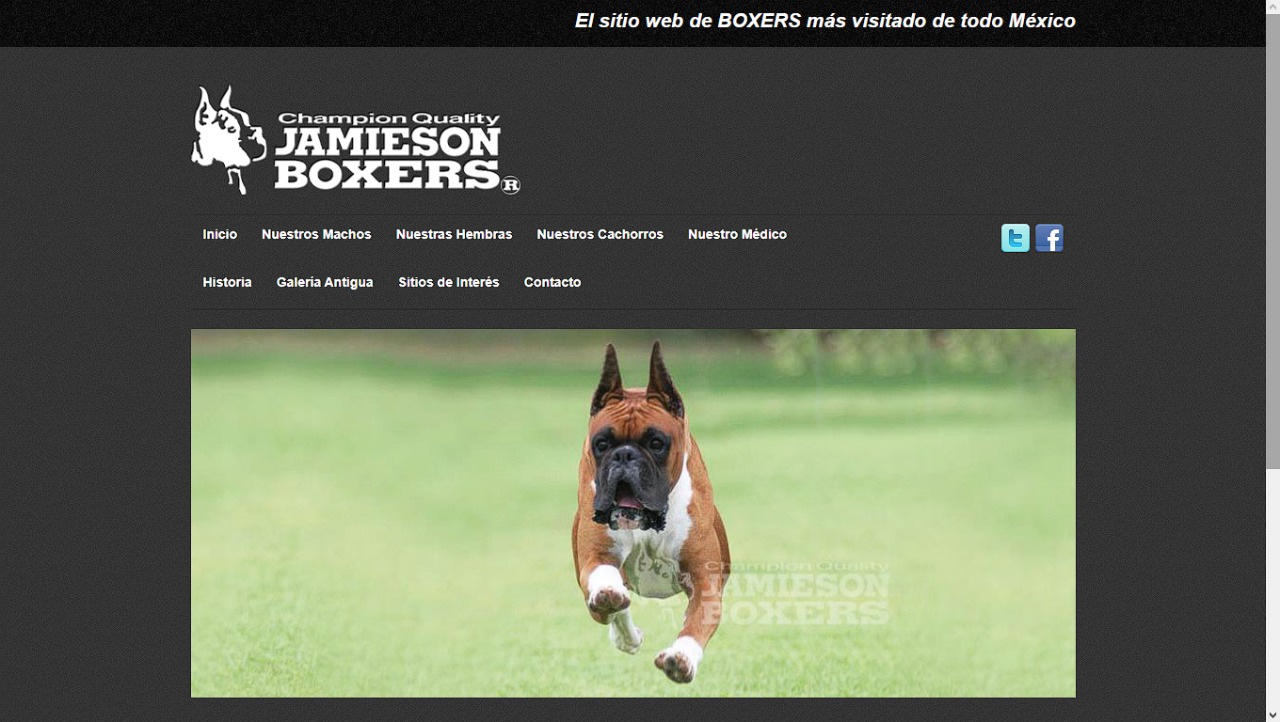 JAMIESON BOXERS Página Web